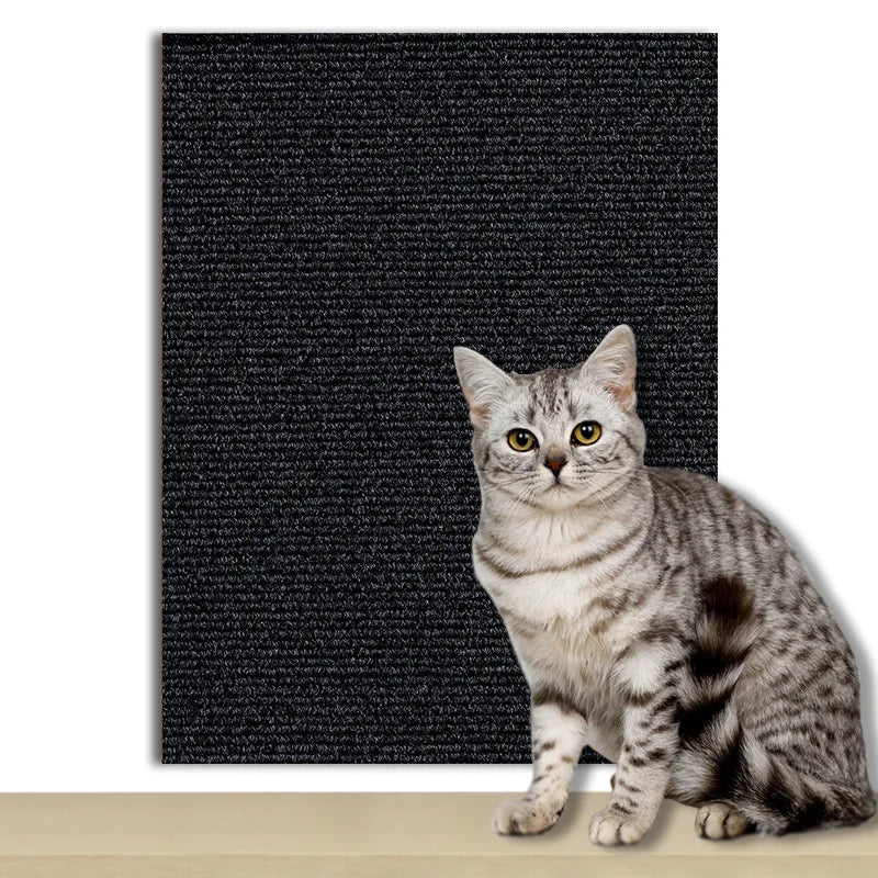 Alfombra Protectora 2 en 1 para Gatos