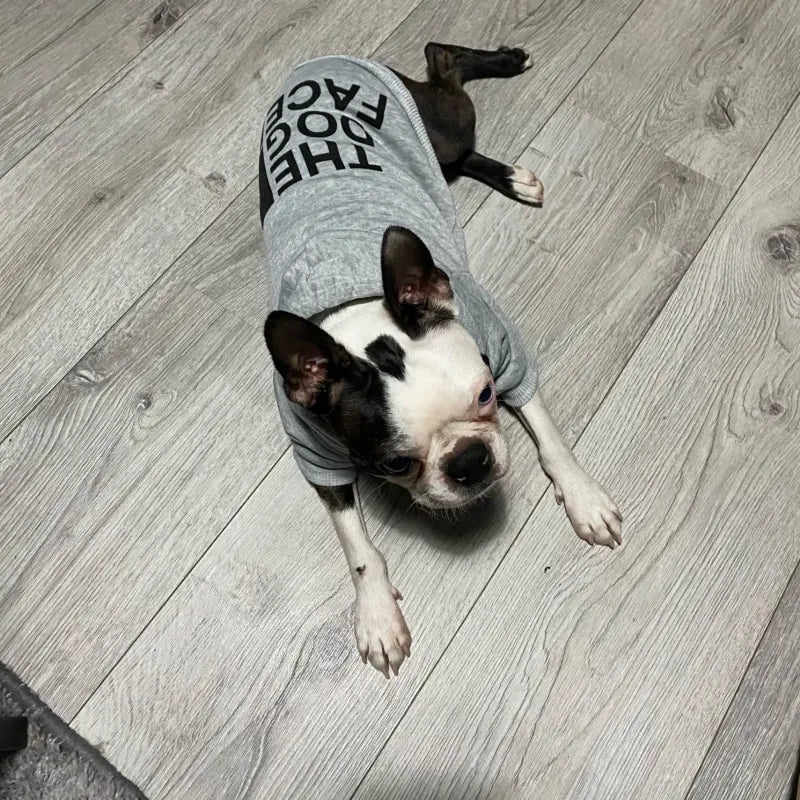 Mameluco - The Dog Face 2