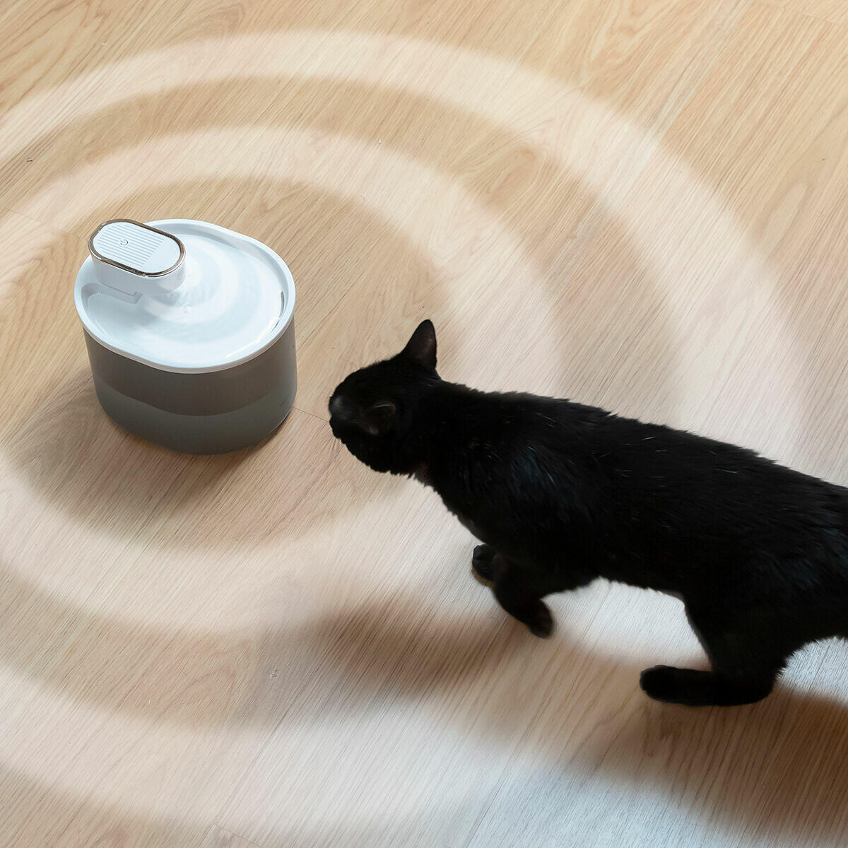 Fuente para Gatos Recargable con Sensor Refopet