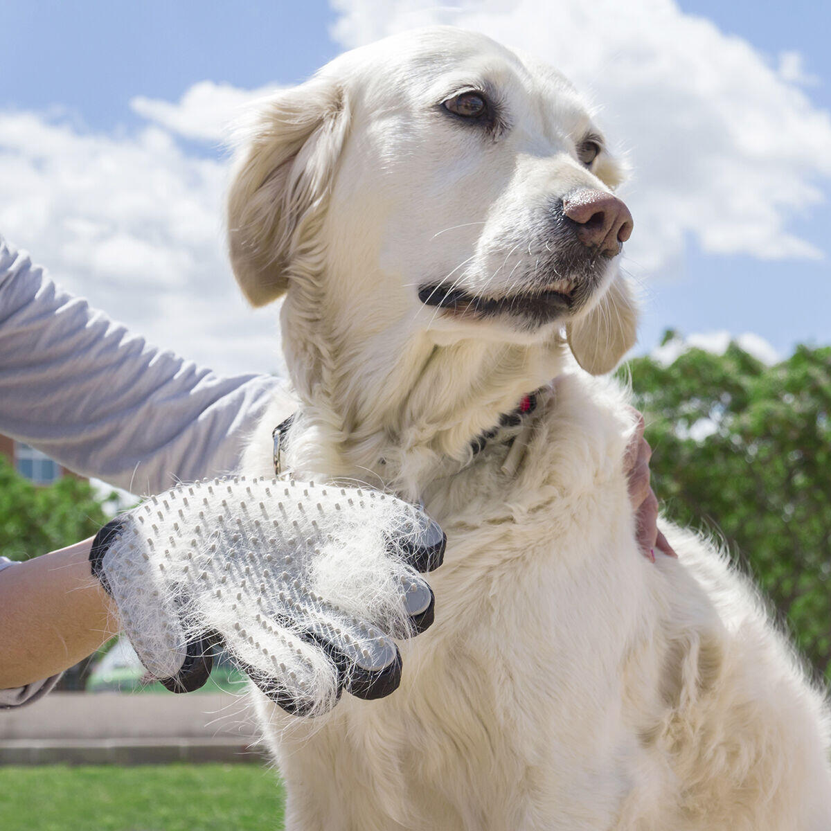 Guante para Cepillar y Masajear Mascotas Relpet
